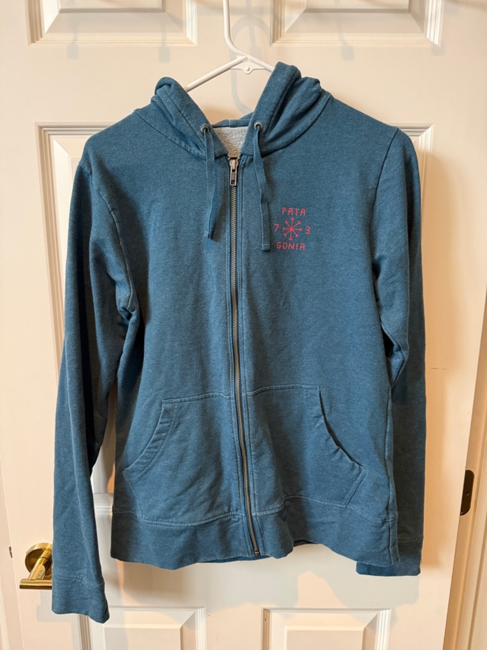 Patagonia Teal Zip Hoodie with Pink Chest Logo